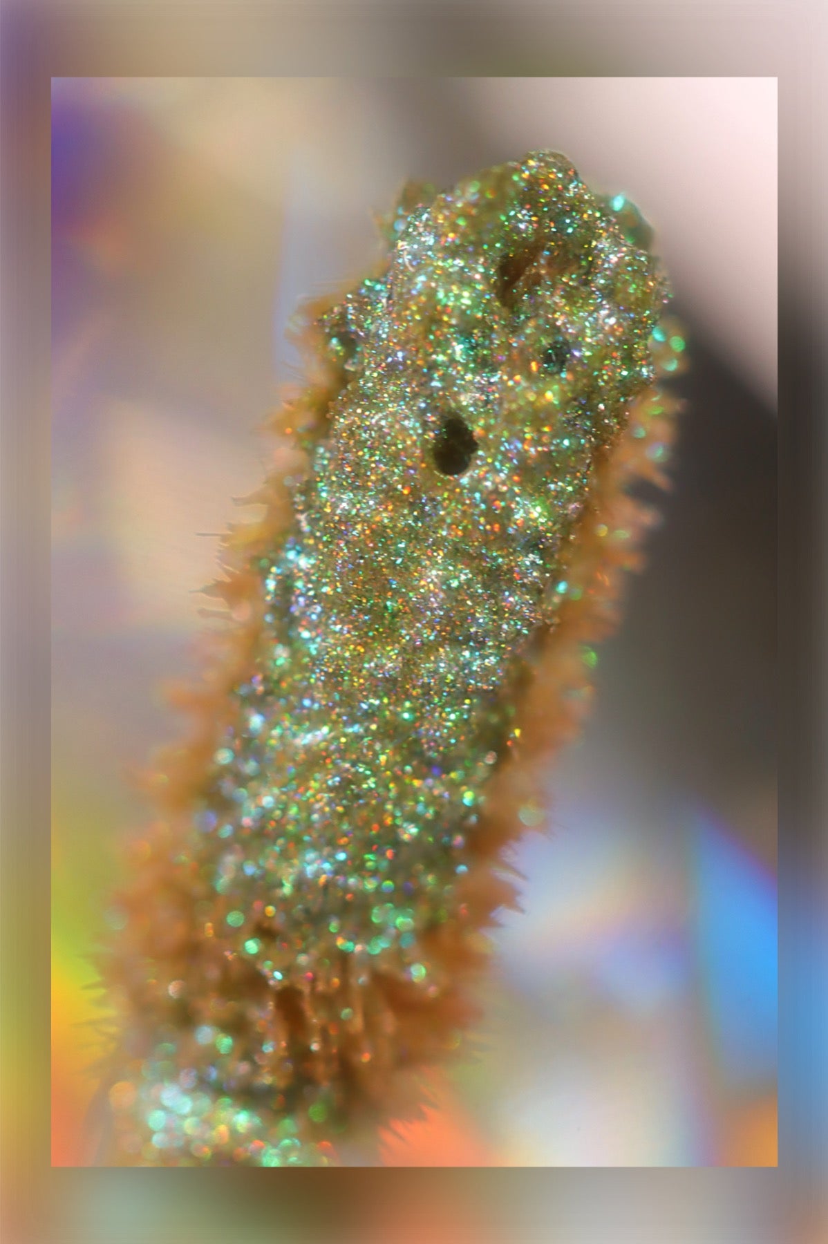 Holographic Multichrome Liquid Glitter Eyeshadow - Marvel